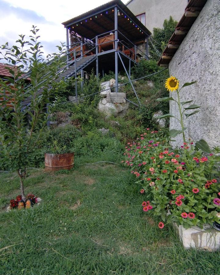 Camp Sunny Hills Hotel Virpazar Exterior photo
